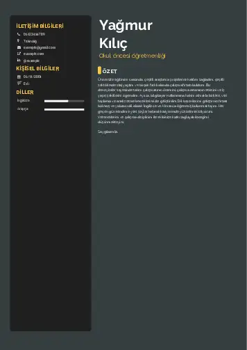 Okul Öncesi Öğretmeni Öğretmenliği Cv Örnekleri cv indir